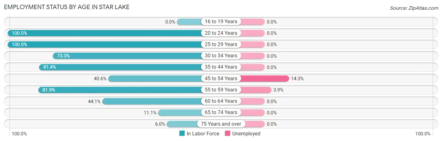 Employment Status by Age in Star Lake