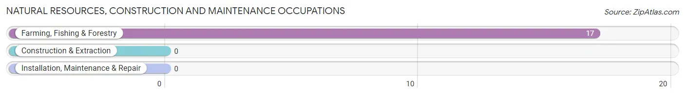 Natural Resources, Construction and Maintenance Occupations in Stone Ridge