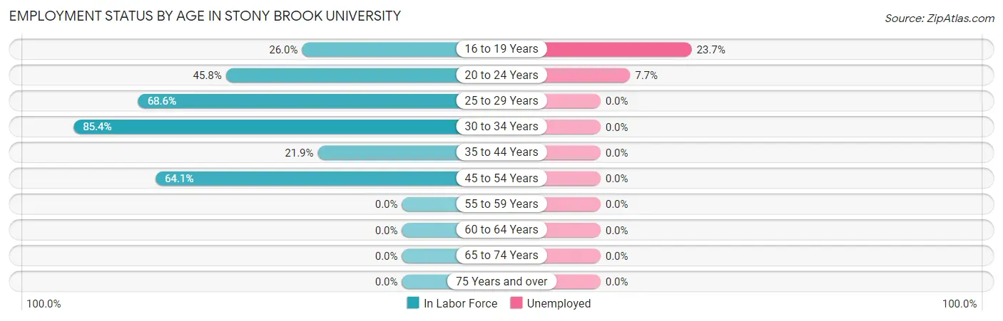 Employment Status by Age in Stony Brook University