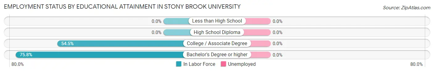 Employment Status by Educational Attainment in Stony Brook University