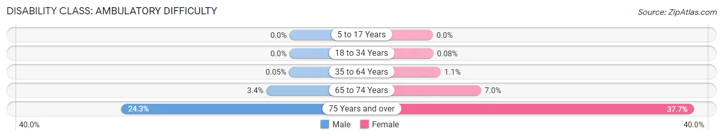 Disability in Syosset: <span>Ambulatory Difficulty</span>