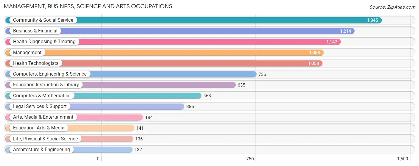 Management, Business, Science and Arts Occupations in Syosset