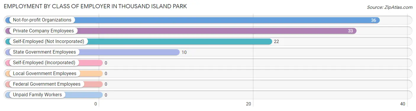 Employment by Class of Employer in Thousand Island Park