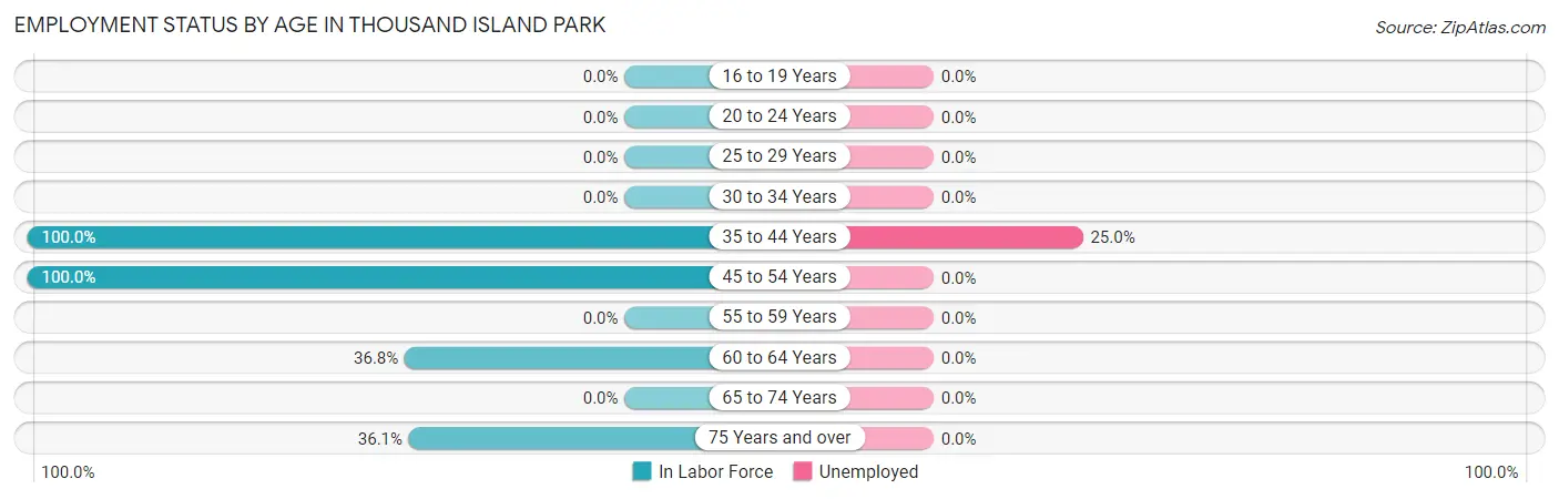 Employment Status by Age in Thousand Island Park