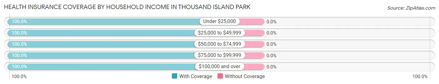 Health Insurance Coverage by Household Income in Thousand Island Park