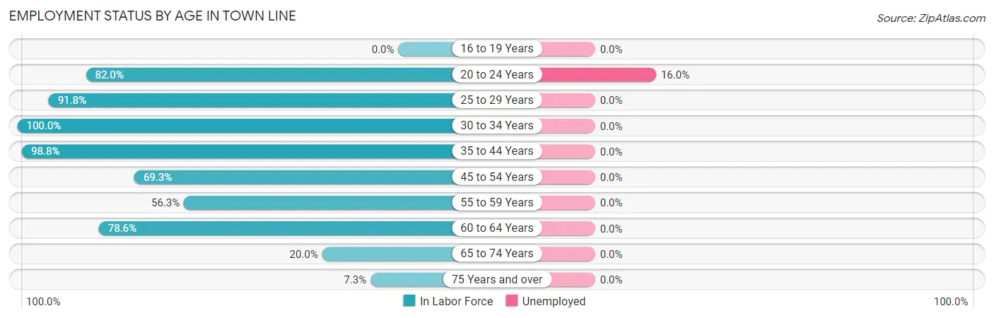 Employment Status by Age in Town Line