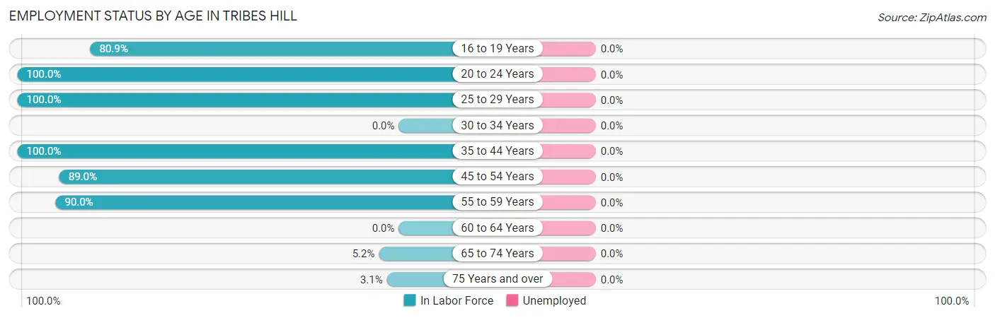 Employment Status by Age in Tribes Hill