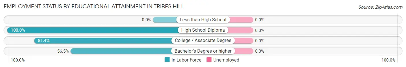 Employment Status by Educational Attainment in Tribes Hill