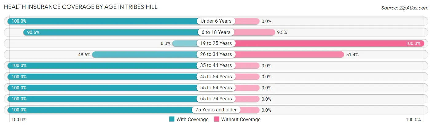Health Insurance Coverage by Age in Tribes Hill