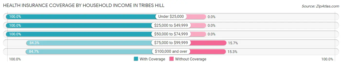 Health Insurance Coverage by Household Income in Tribes Hill
