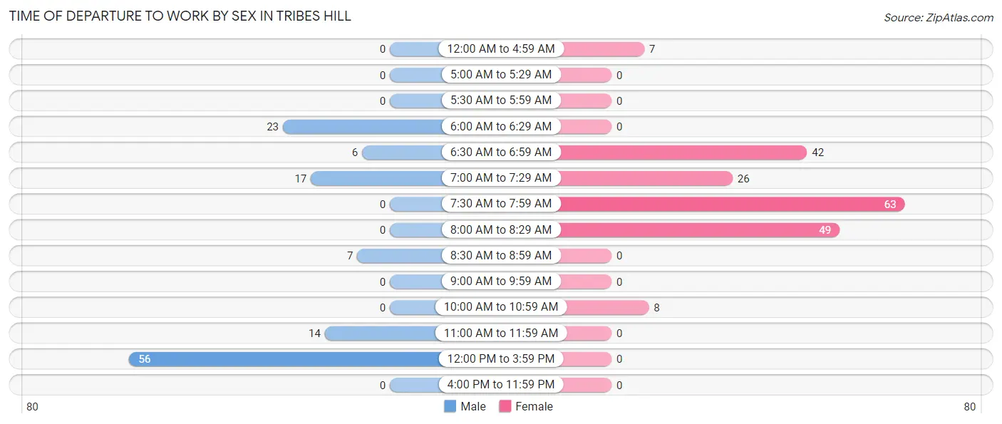 Time of Departure to Work by Sex in Tribes Hill