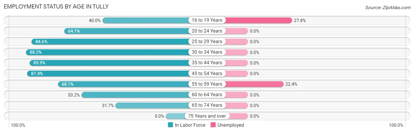Employment Status by Age in Tully