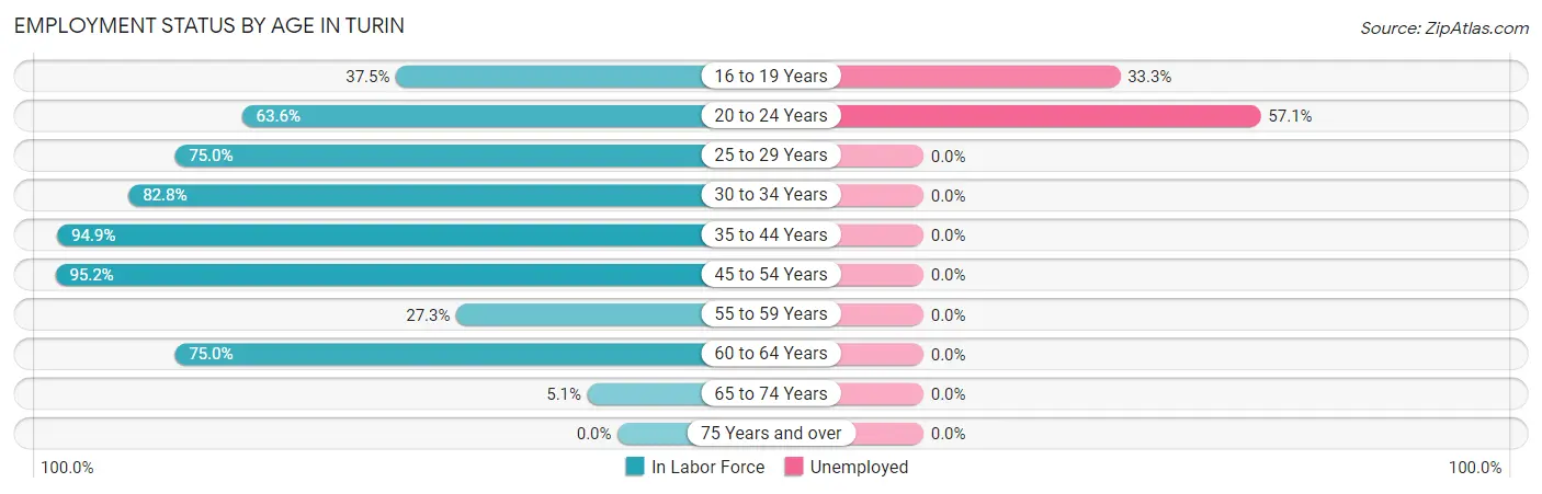 Employment Status by Age in Turin