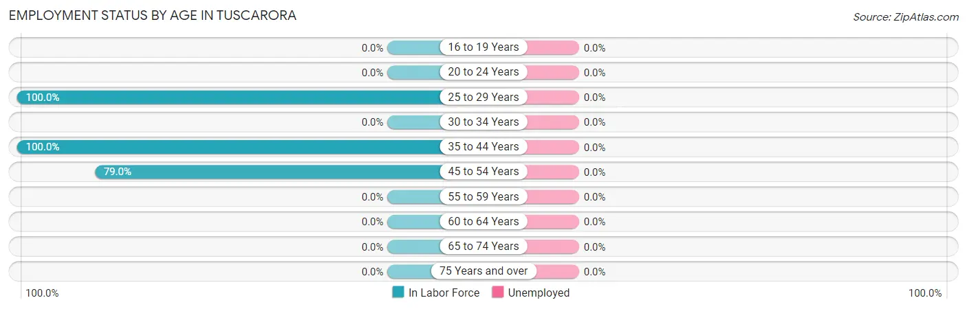Employment Status by Age in Tuscarora