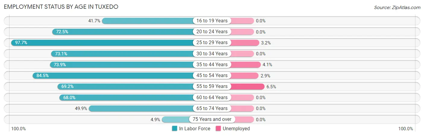 Employment Status by Age in Tuxedo