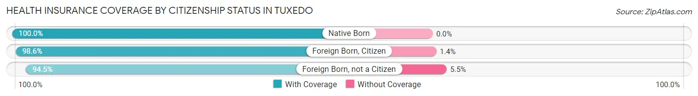 Health Insurance Coverage by Citizenship Status in Tuxedo