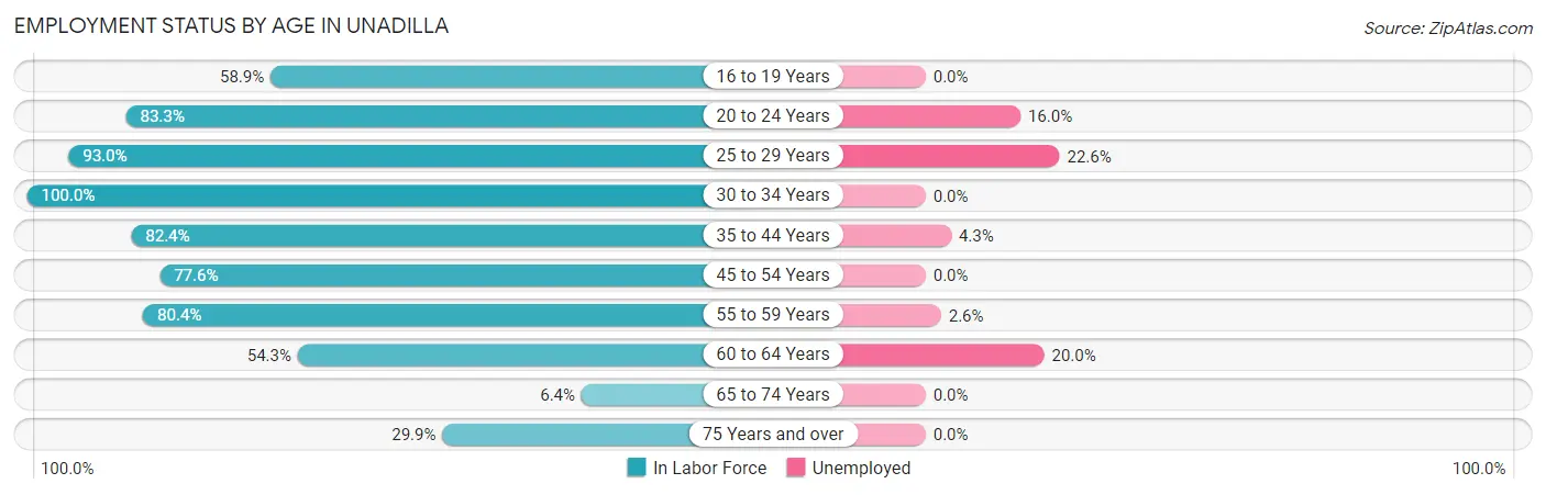 Employment Status by Age in Unadilla