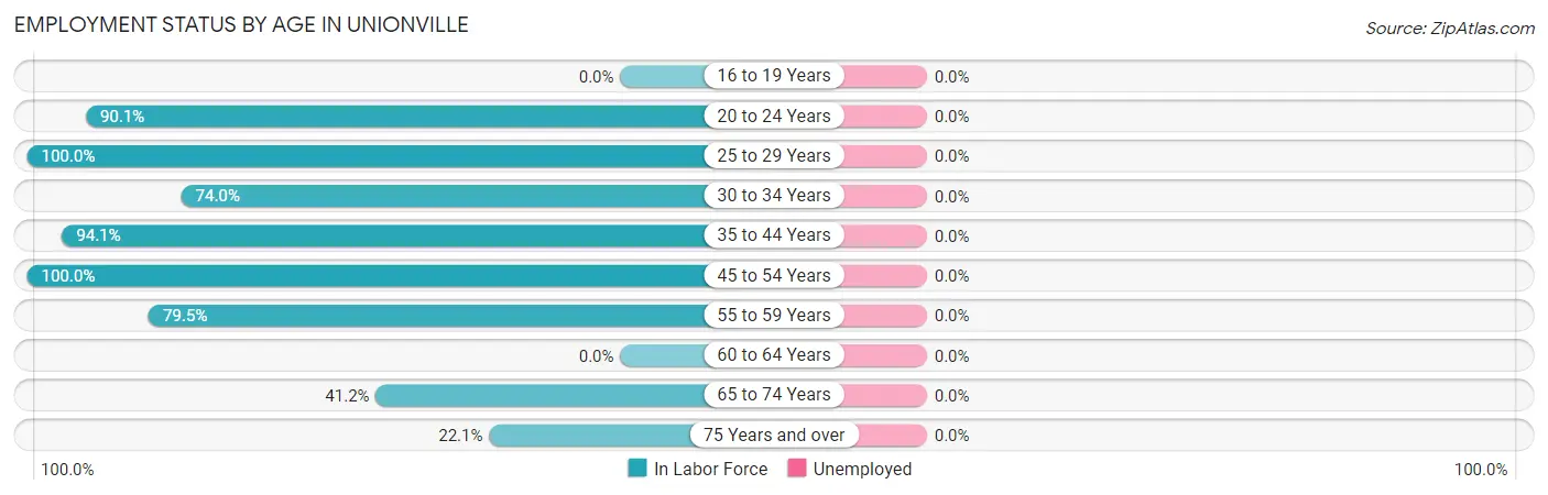 Employment Status by Age in Unionville