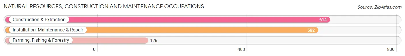 Natural Resources, Construction and Maintenance Occupations in Utica