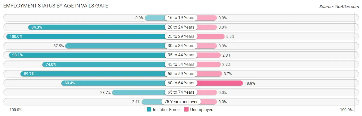 Employment Status by Age in Vails Gate