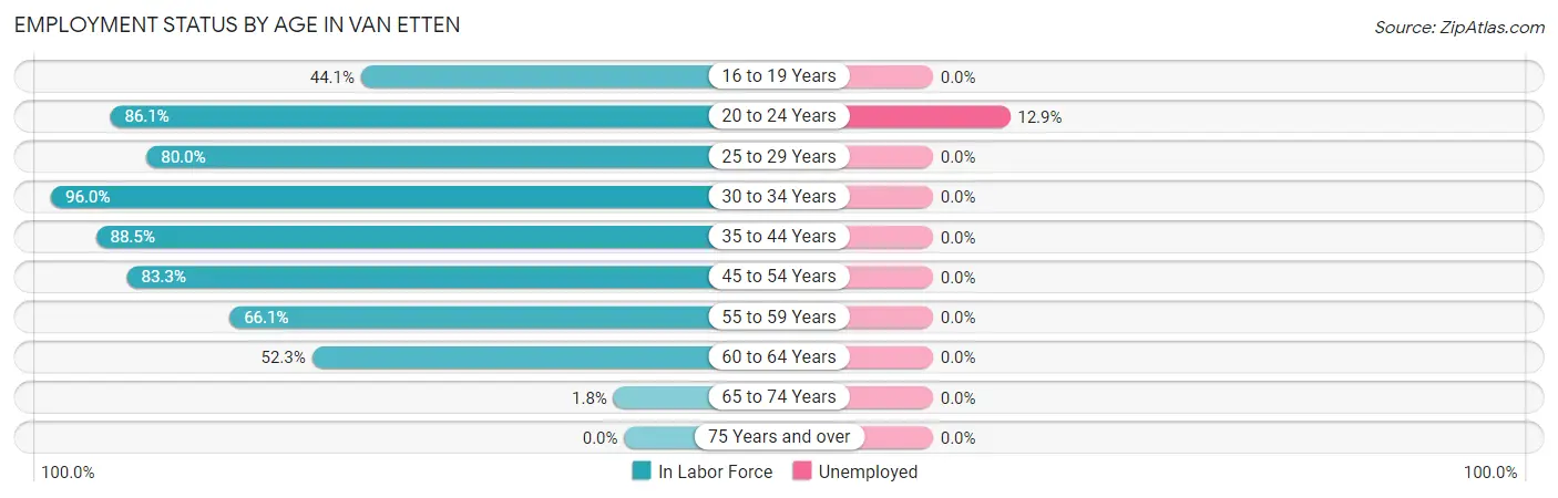 Employment Status by Age in Van Etten