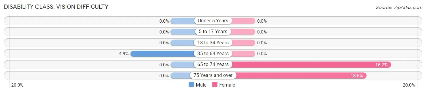 Disability in Van Etten: <span>Vision Difficulty</span>