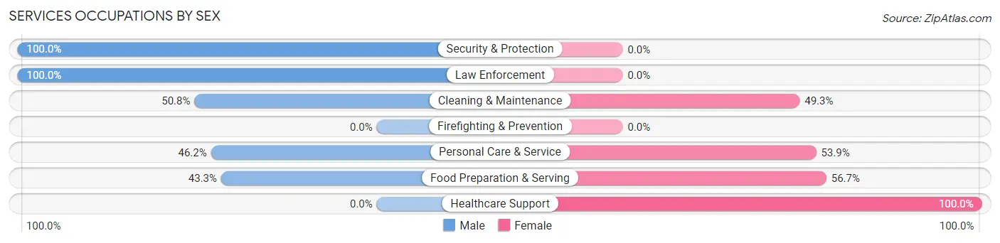 Services Occupations by Sex in Village Green