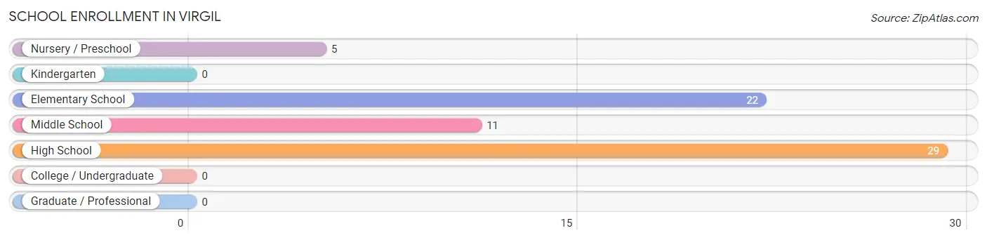 School Enrollment in Virgil