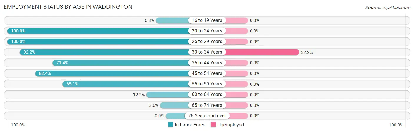 Employment Status by Age in Waddington