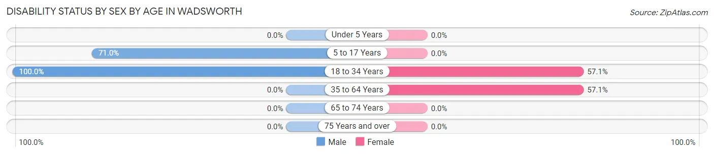Disability Status by Sex by Age in Wadsworth