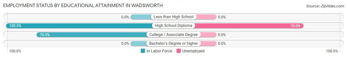 Employment Status by Educational Attainment in Wadsworth