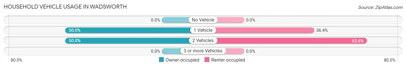 Household Vehicle Usage in Wadsworth