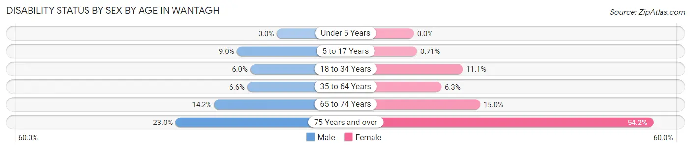 Disability Status by Sex by Age in Wantagh