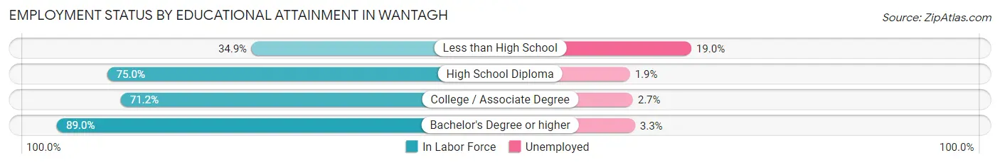 Employment Status by Educational Attainment in Wantagh