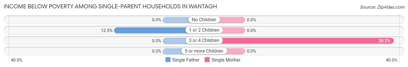 Income Below Poverty Among Single-Parent Households in Wantagh