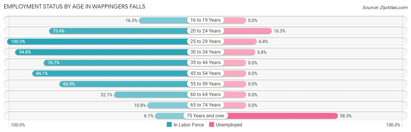 Employment Status by Age in Wappingers Falls