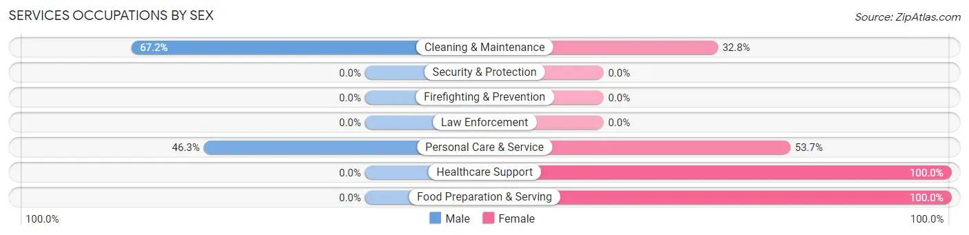 Services Occupations by Sex in Warsaw