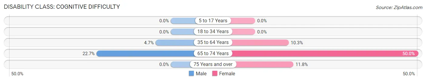 Disability in Washington Mills: <span>Cognitive Difficulty</span>