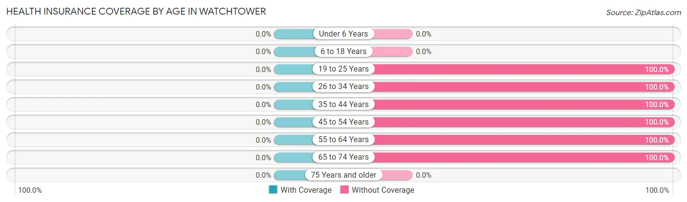 Health Insurance Coverage by Age in Watchtower
