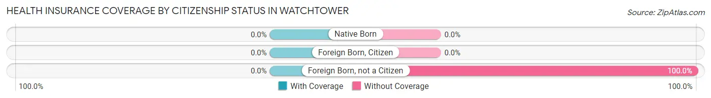 Health Insurance Coverage by Citizenship Status in Watchtower