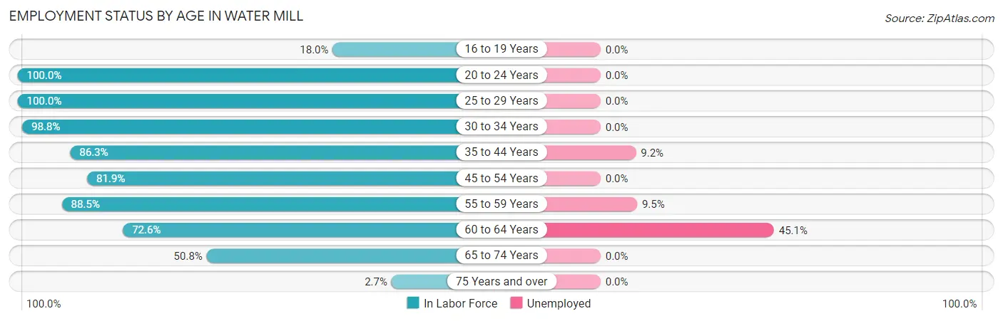 Employment Status by Age in Water Mill