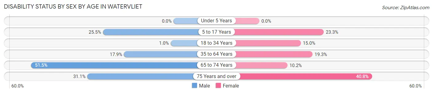 Disability Status by Sex by Age in Watervliet