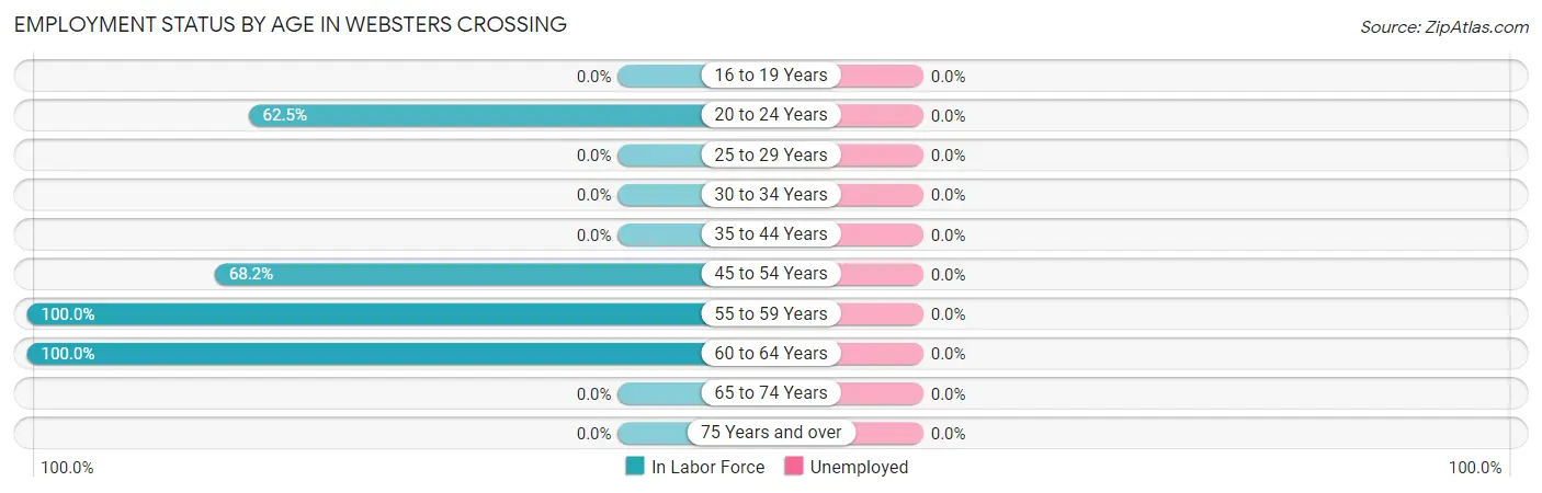 Employment Status by Age in Websters Crossing