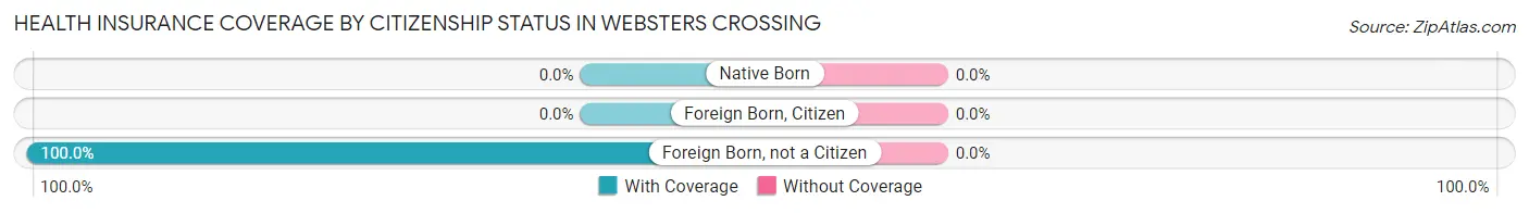 Health Insurance Coverage by Citizenship Status in Websters Crossing