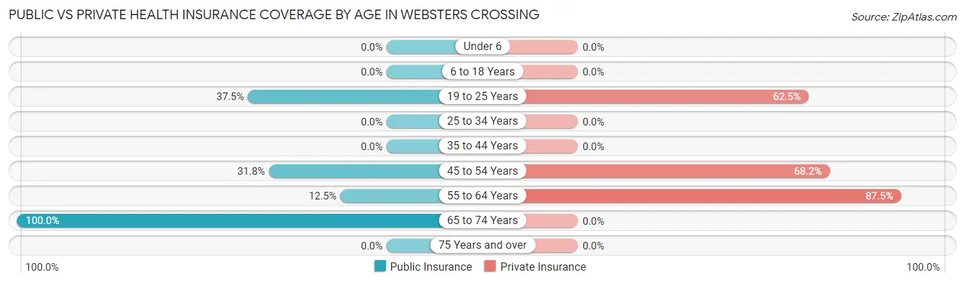 Public vs Private Health Insurance Coverage by Age in Websters Crossing