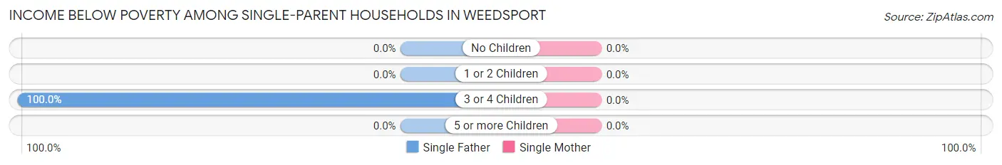 Income Below Poverty Among Single-Parent Households in Weedsport