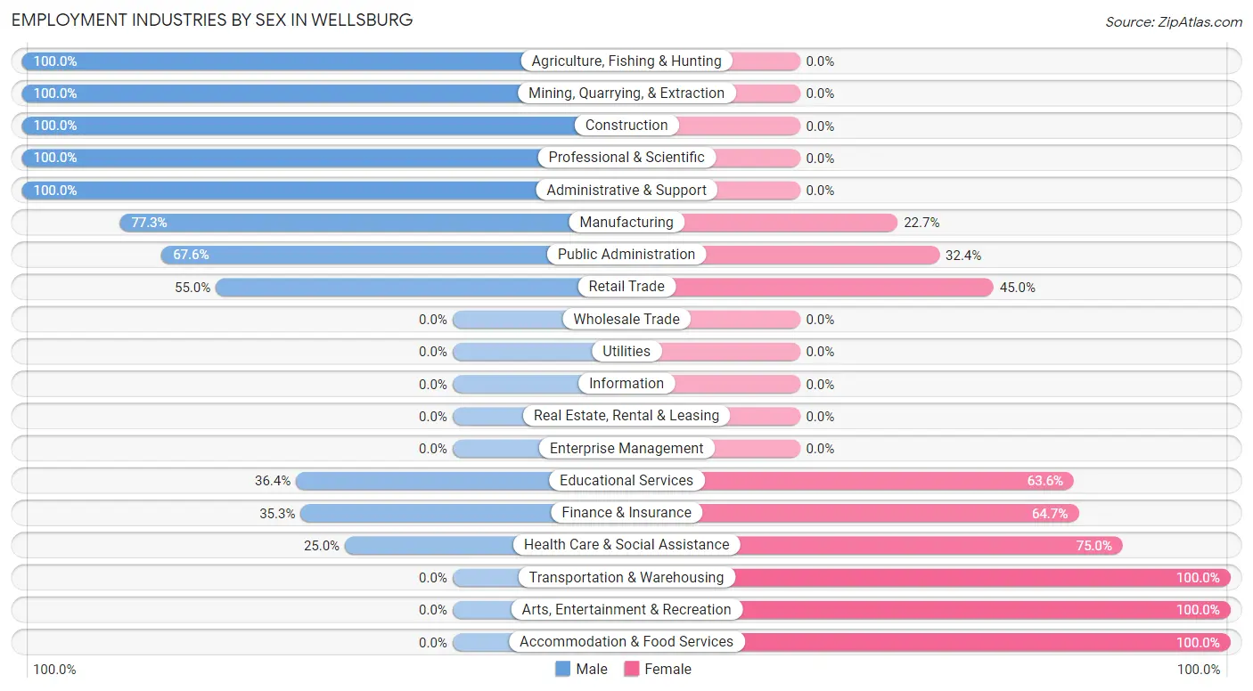 Employment Industries by Sex in Wellsburg