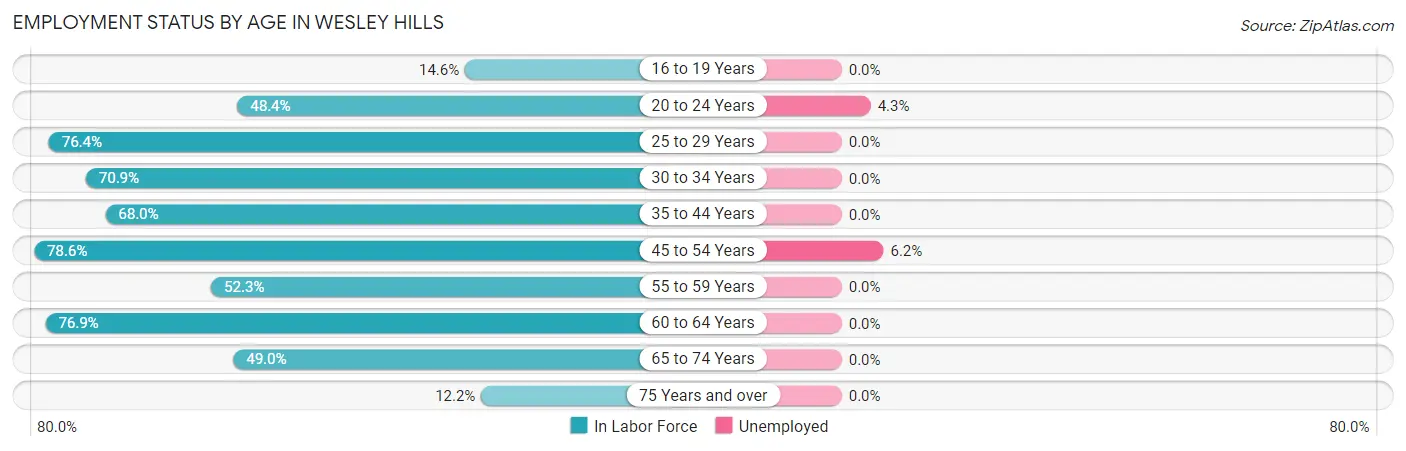 Employment Status by Age in Wesley Hills