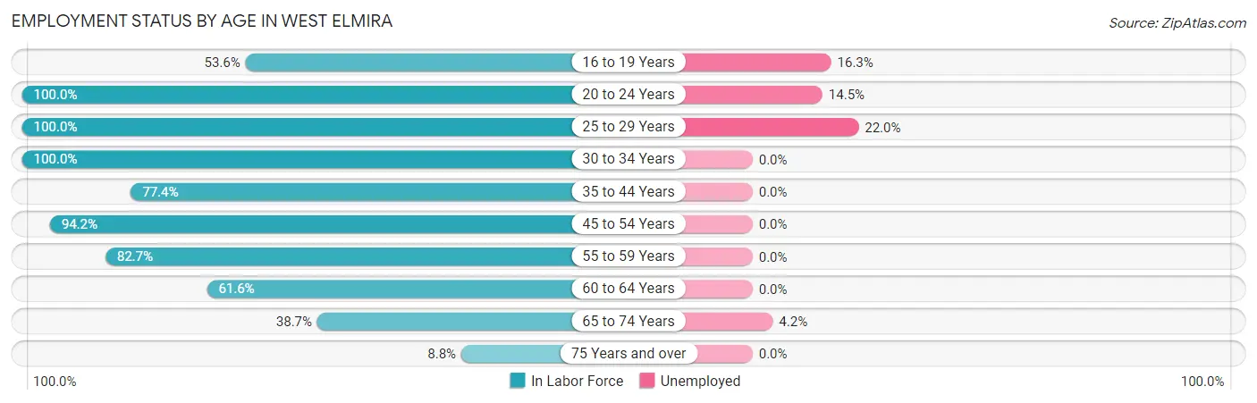 Employment Status by Age in West Elmira