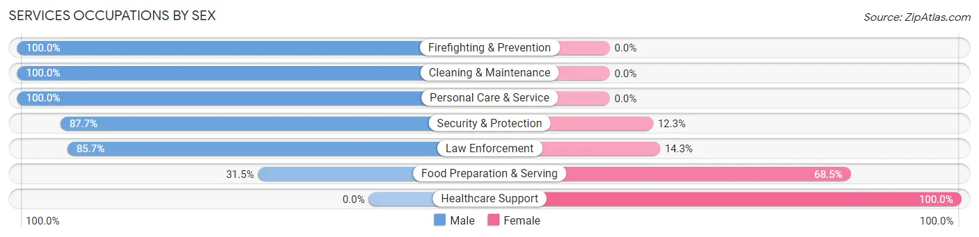 Services Occupations by Sex in West Elmira